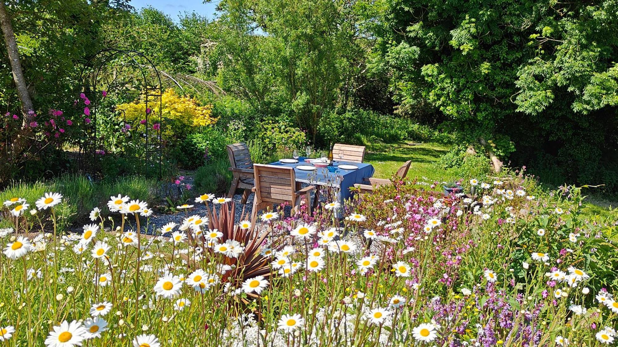 Darracott Farm Cottage Welcombe Esterno foto